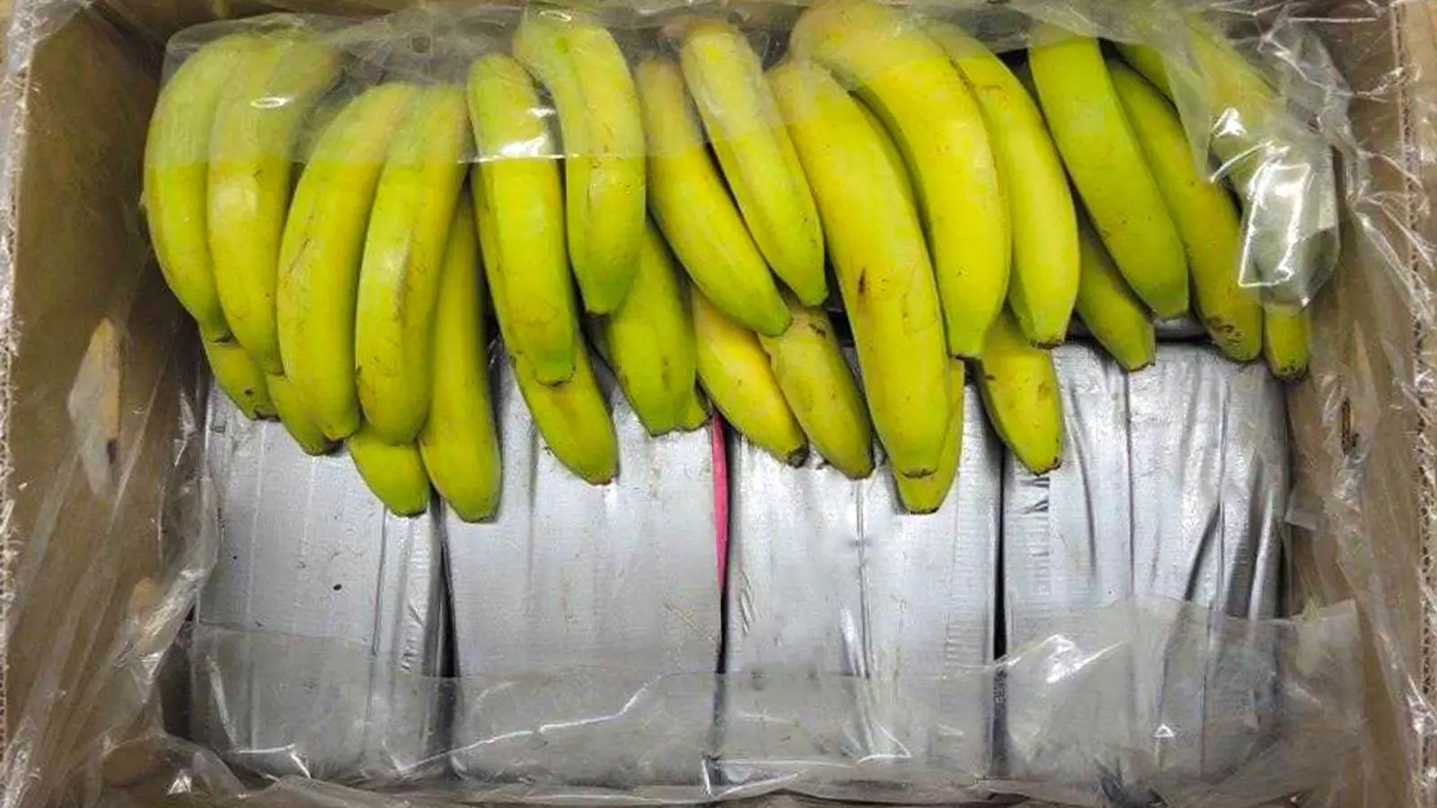 In Bananenkisten aus Ecuador sichergestelltes Kokain. (Foto: Landeskriminalamt Baden-Württemberg/dpa/Archiv)