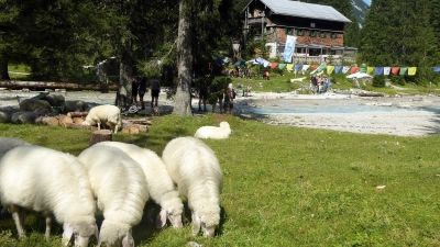 Der tragische Unfall ereignete sich unweit der Reintalangerhütte des Alpenvereins. (Archivbild) (Foto: Angelika Warmuth/dpa)