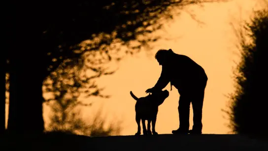 Hundebesitzer wissen, dass die Nähe ihres Haustiers Balsam für die Seele sein kann. Kann ein Plüschtier ähnlich wirken? (Foto: Julian Stratenschulte/dpa)