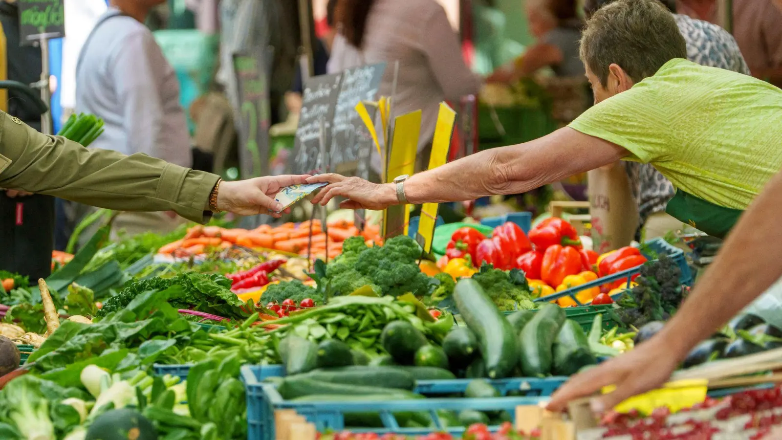 Bei Salat liegt der deutsche Selbstversorgungsgrad etwas höher als bei anderen Gemüsearten. (Archivbild) (Foto: Andreas Arnold/dpa)