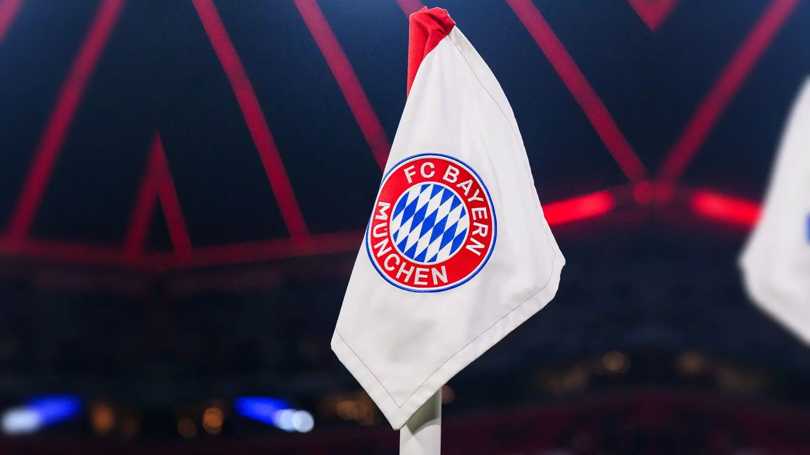 Geldstrafe für den FC Bayern. (Archivbild)   (Foto: Tom Weller/dpa)