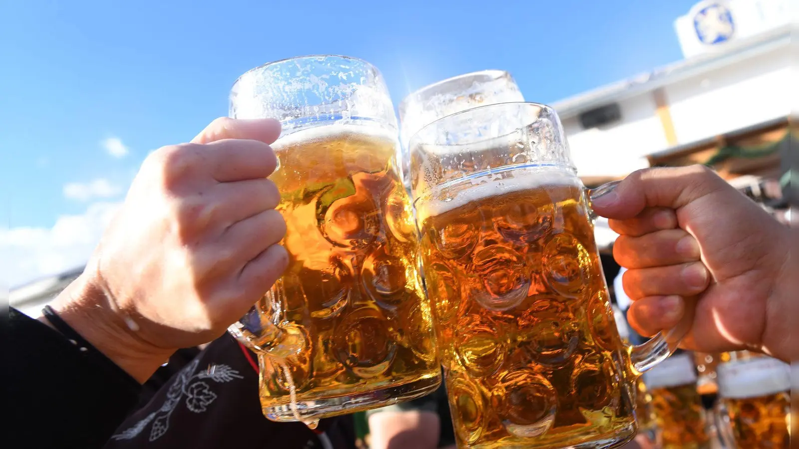 Besucher stoßen auf dem Oktoberfest mit Maßkrügen voller Bier an.  (zu dpa: «Wiesn-Bier kostet bis zu 15,80 Euro») (Foto: Felix H�rhager)