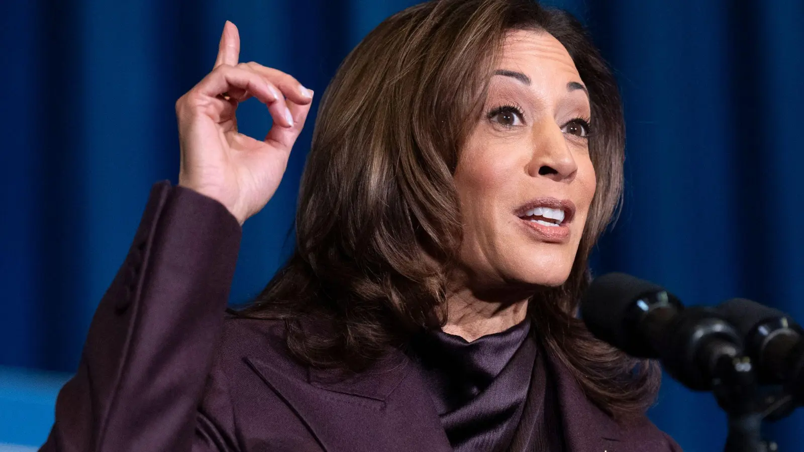 Will sich im nächsten Jahr nicht als Gouverneurin von Kalifornien bewerben - Kamala Harris. (Archivbild) (Foto: Jacquelyn Martin/AP)
