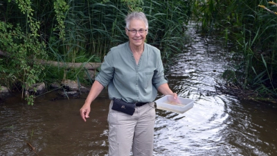 Dr. Ulrike Sandmeyer-Haus an einem ihrer Lieblingsplätze in der Haslach. Dort sucht sie gerne nach Kleinstlebewesen, die Aufschluss über die biologische Güte des Gewässers geben. (Foto: Johannes Zimmermann)