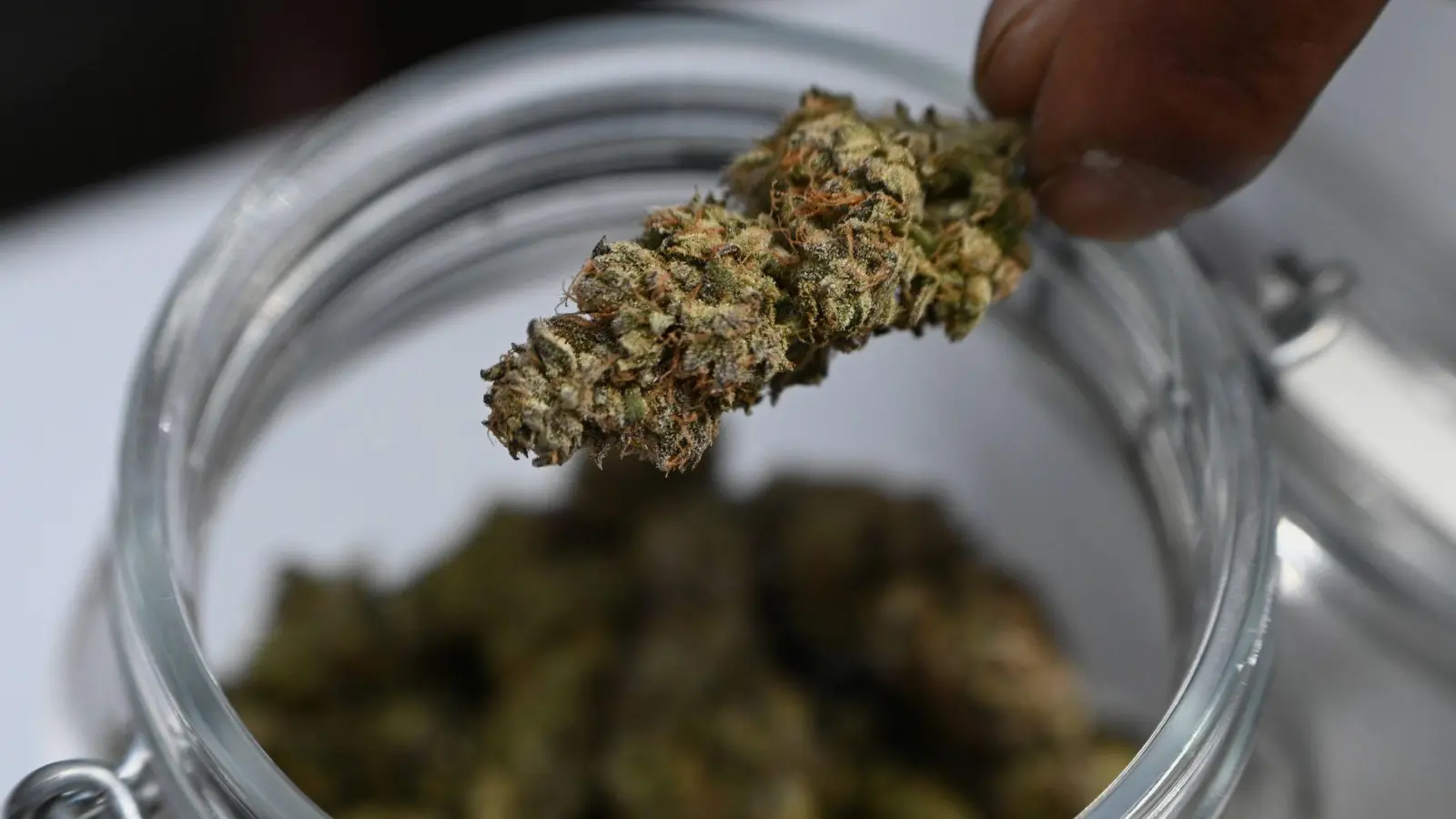 Mehr als sieben Kilo Marihuana stellte die Polizei bei dem Einsatz sicher. (Symbolbild) (Foto: Michael Brandt/dpa)