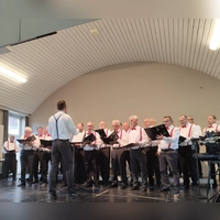 Der Männerchor Concordia 1831 Dinkelsbühl begeisterte mit seinem Auftritt ebenso wie die anderen Chöre. (Foto: Julia Bergmeister)