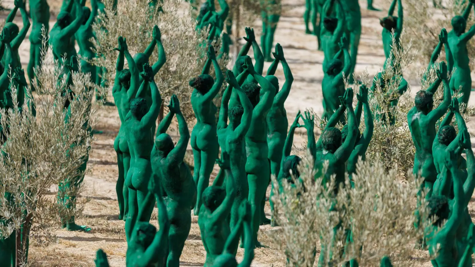 Intensives Grün: Spencer Tunicks erste Kunstinstallation in Andalusien. (Foto: Álex Cámara/EUROPA PRESS/dpa)