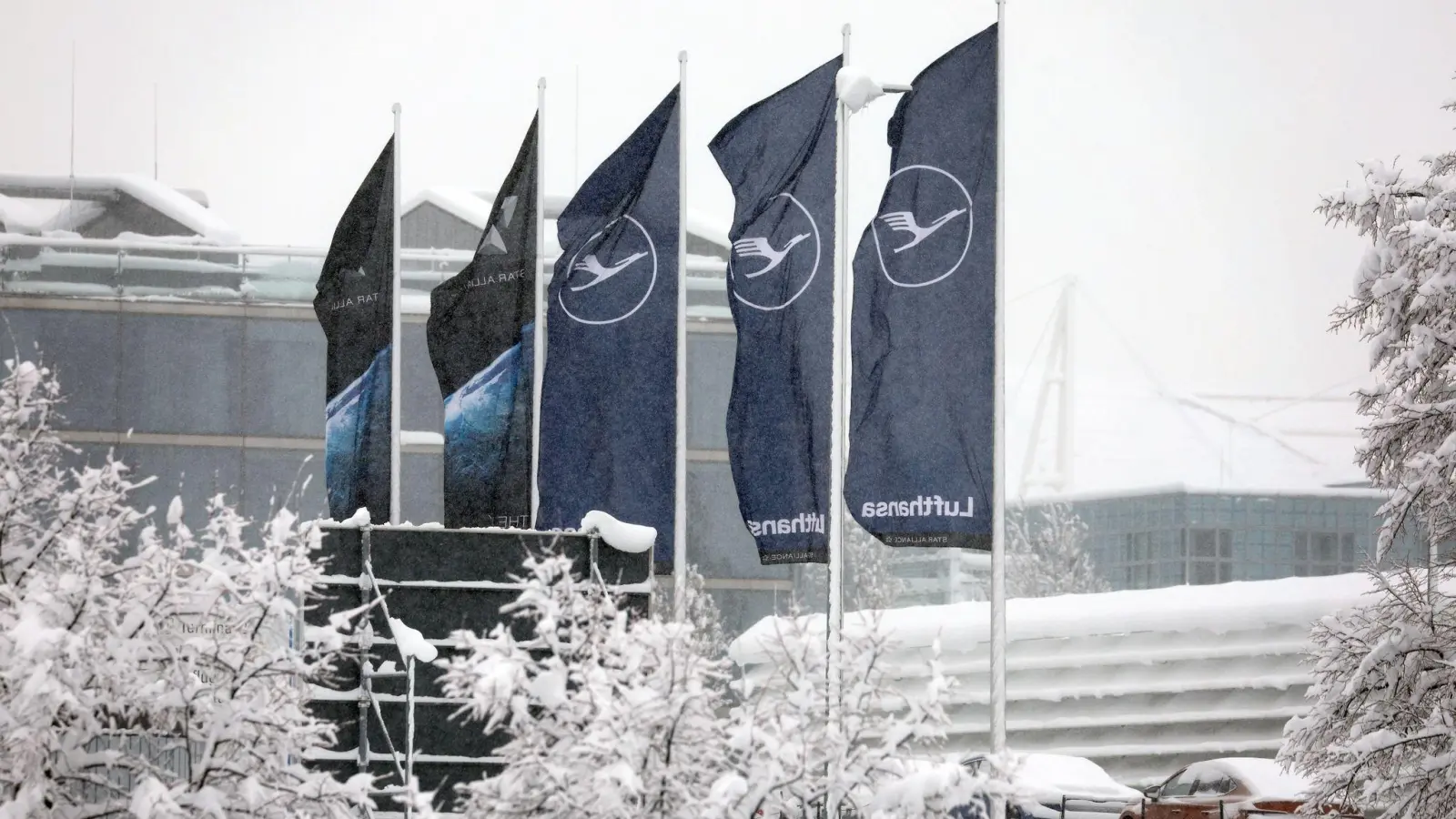 Fahnen der Lufthansa wehen am Flughafen im Schneetreiben. (Foto: Karl-Josef Hildenbrand/dpa)