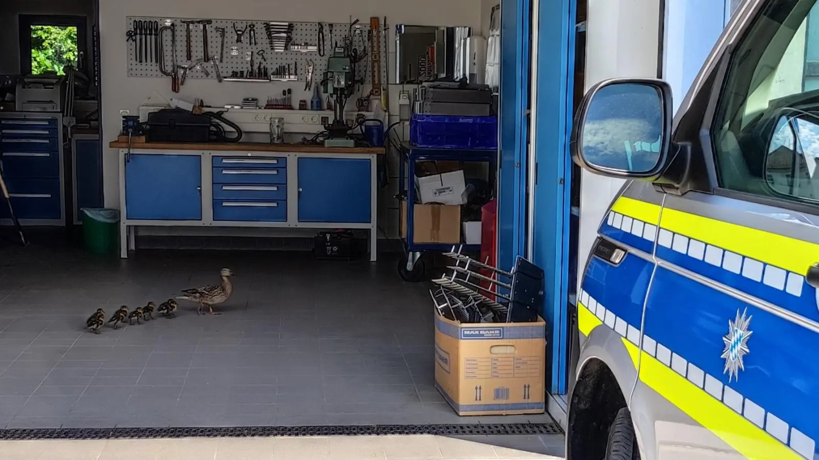 Stippvisite in der Polizeiwerkstatt: Enten inspizierten die Arbeitsplätze. (Foto: Polizei)