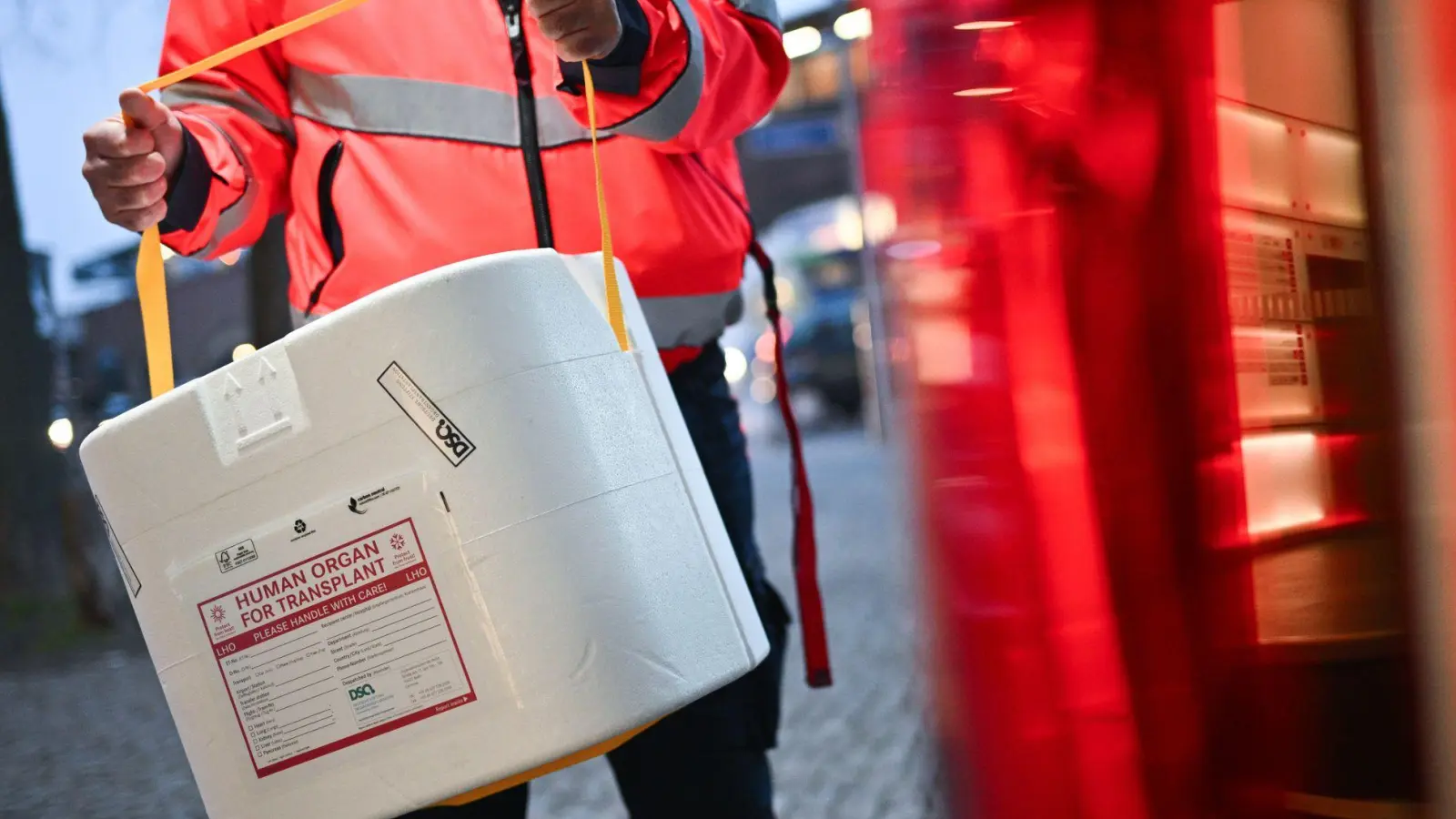 Sollen die Regeln für mehr Organspenden grundlegend geändert werden? (Archivbild) (Foto: Sebastian Gollnow/dpa)