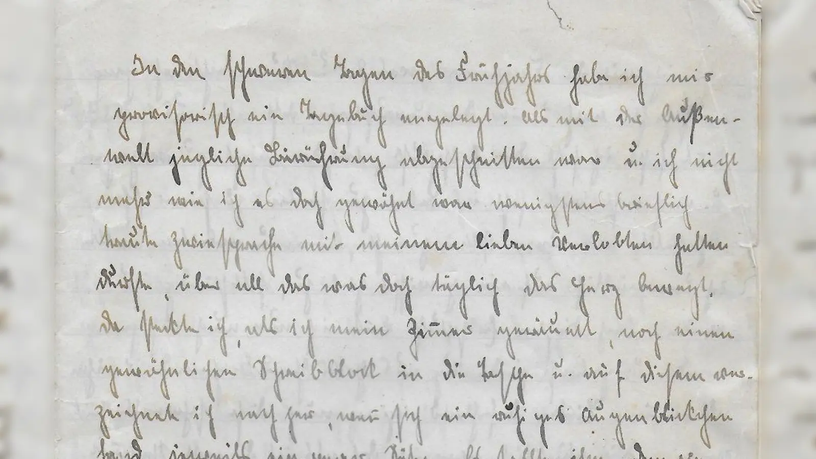 Ein Auszug aus Elisabeth Spriegels Tagebuch. (Foto: Wilfried Spriegel)