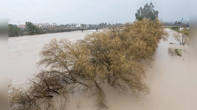 Am Samstag hatte das Sturmtief „Marta” zahlreiche Flüsse wie hier den Guadalquivir in Andalusien über die Ufer treten lassen. Es war bereits der siebte Atlantiksturm seit Jahresbeginn, der über Portugal und Spanien hinwegzog. (Foto: Eduardo Briones/EUROPA PRESS/dpa)