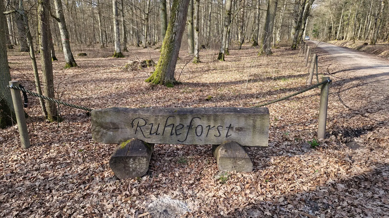 Alternativen zur traditionellen Friedhofsbestattung gibt es bereits in der Region. Das Foto entstand im Zugangsbereich zum Ruheforst Landhege nordwestlich von Rothenburg. Für das Vorhaben bei Schillingsfürst kam es jetzt zu einer wichtigen Vertragsunterzeichnung. (Foto: Jürgen Binder)