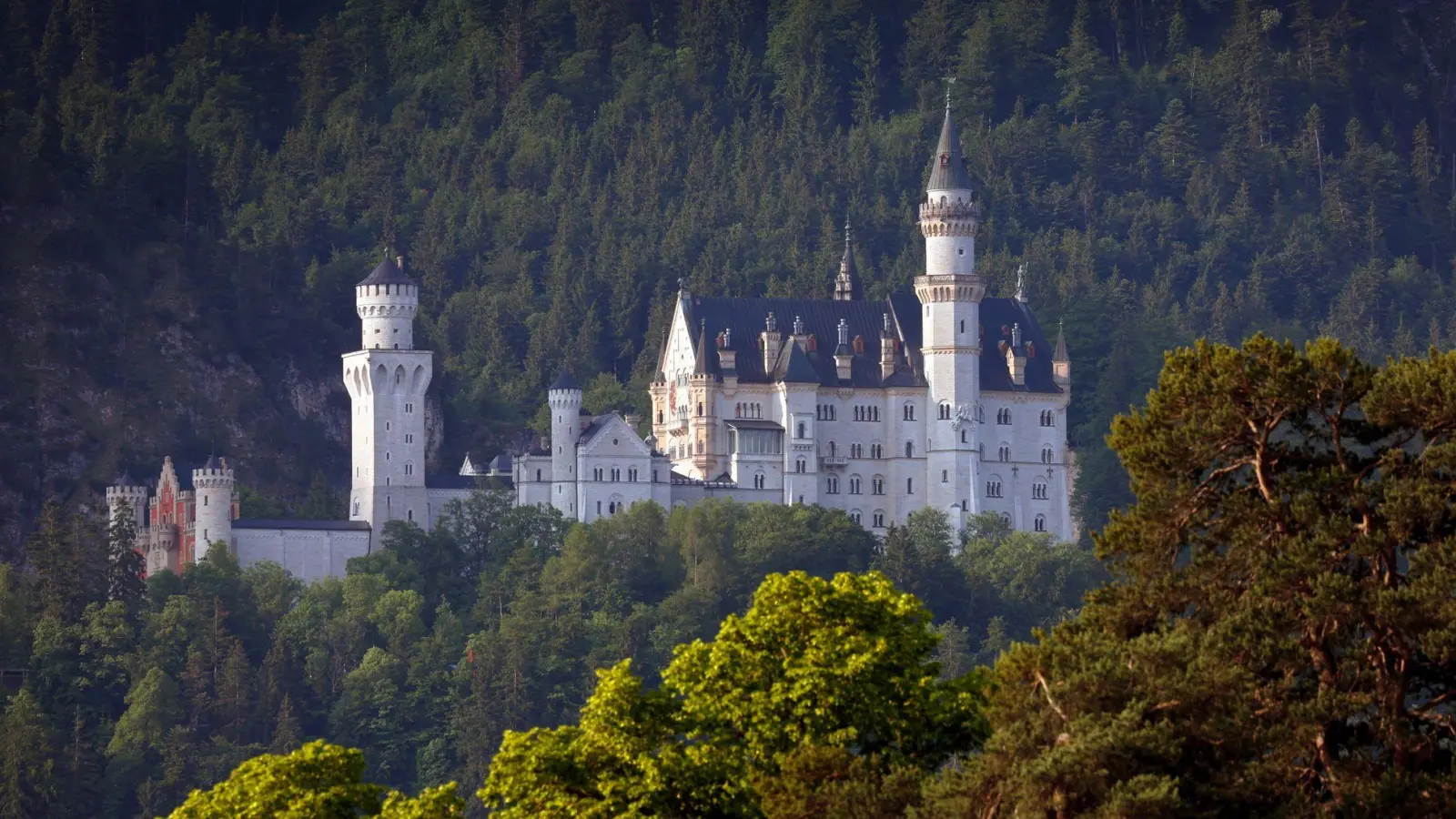 Der Sicherheitsdienst befreite den Hund aus dem Schließfach. (Symbolbild)  (Foto: Karl-Josef Hildenbrand/dpa)