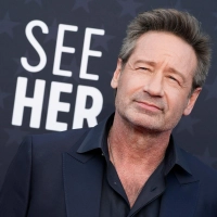 „Akte X“-Star David Duchovny erhält den Ehrenpreis des Festivals. (Archivbild) (Foto: Jordan Strauss/AP/dpa)