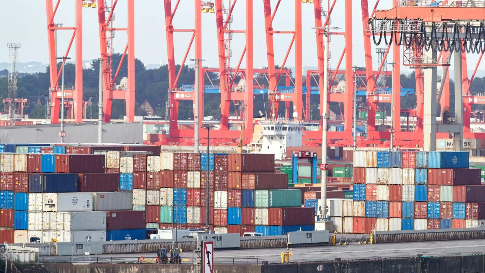 Kräne und Container im Hamburger Hafen. (Foto: Georg Wendt/dpa)