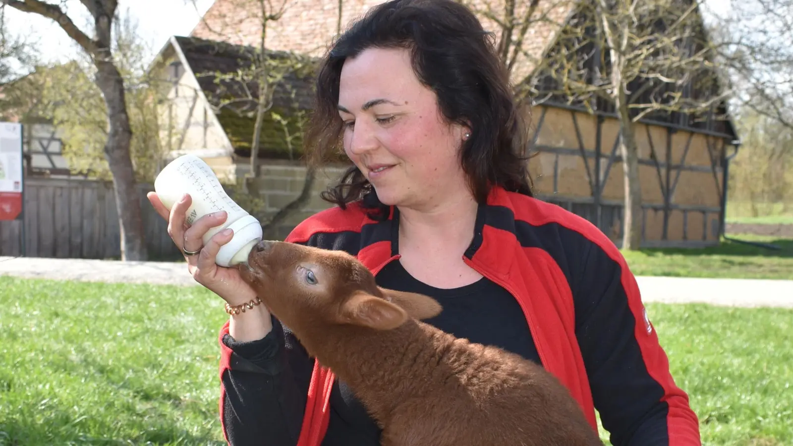 Lämmchen Mathilda (Foto) und Valentina werden von Landwirtin Nicole Dümmler mit der Flasche großgezogen. Das macht viel Arbeit. (Foto: Niephaus)