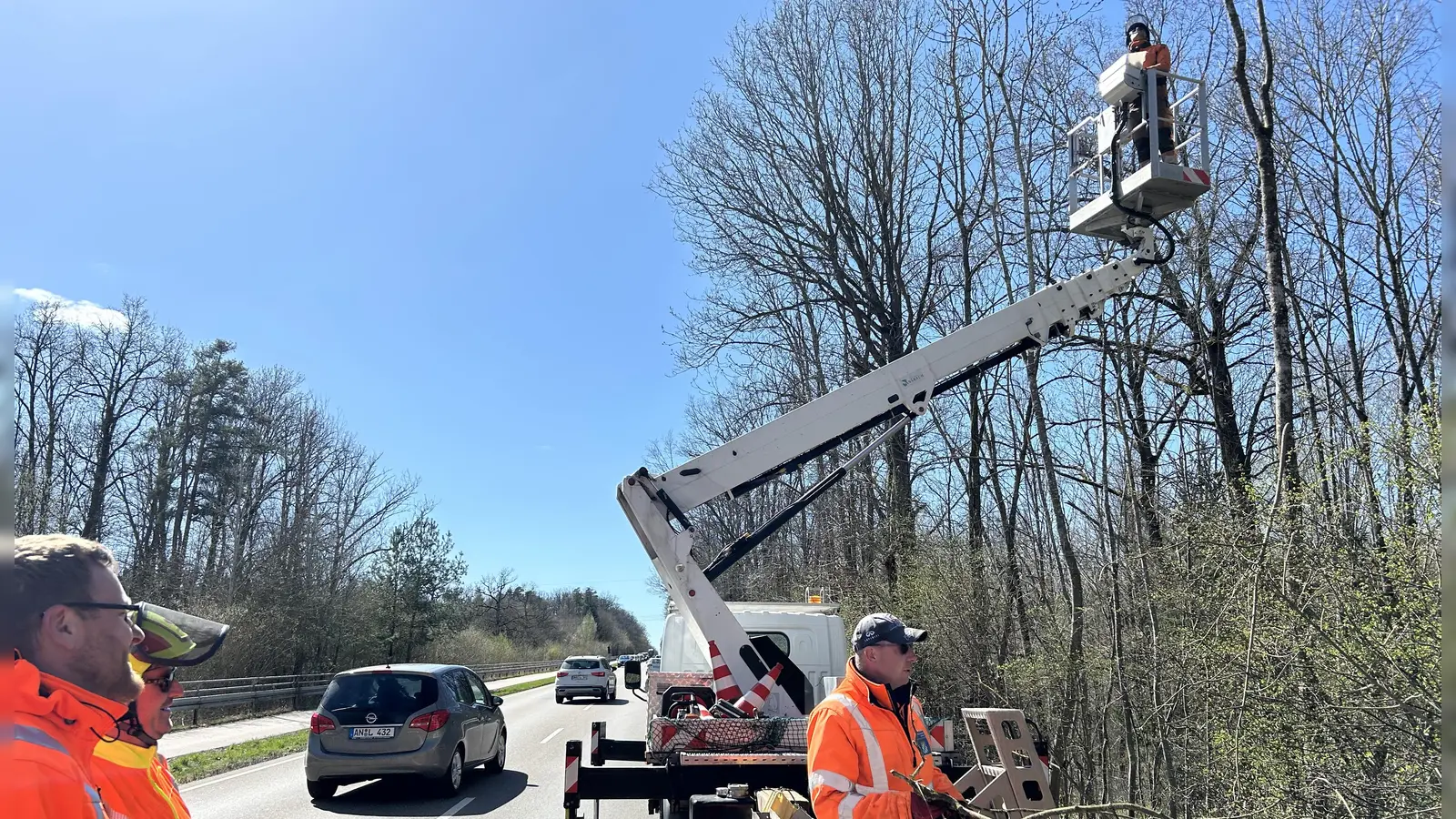 Behördliche Zusammenarbeit: Mitarbeiter der Stadt Ansbach schneiden die Bäume am Zeilberg, Vertreter des Staatlichen Bauamtes sichern die Maßnahme derweil ab. (Foto: Florian Pöhlmann)