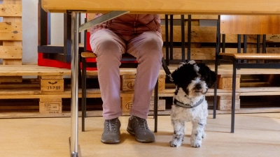In der Wahlkabine, hier eine Aufnahme aus Dietenhofen, entschieden sich die Wählerinnen und Wähler, in den verschiedenen Städten und Gemeinden des Landkreises Ansbach ganz unterschiedlich.  (Foto: Evi Lemberger)