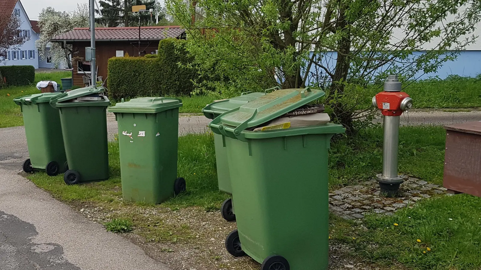 In Käferbach blieben die grünen Papiertonnen ungeleert (Foto: Manfred Stephan)