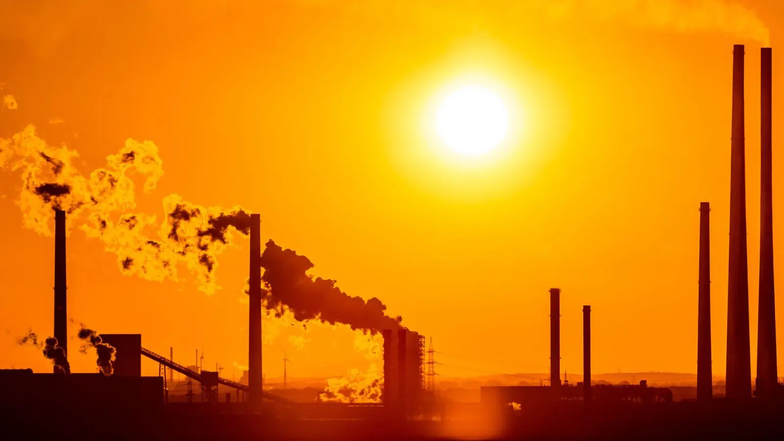 Die deutsche Wirtschaft könnte laut Ifo-Institut im kommenden Jahr kräftig wachsen (Symbolbild) (Foto: Marcel Kusch/dpa)