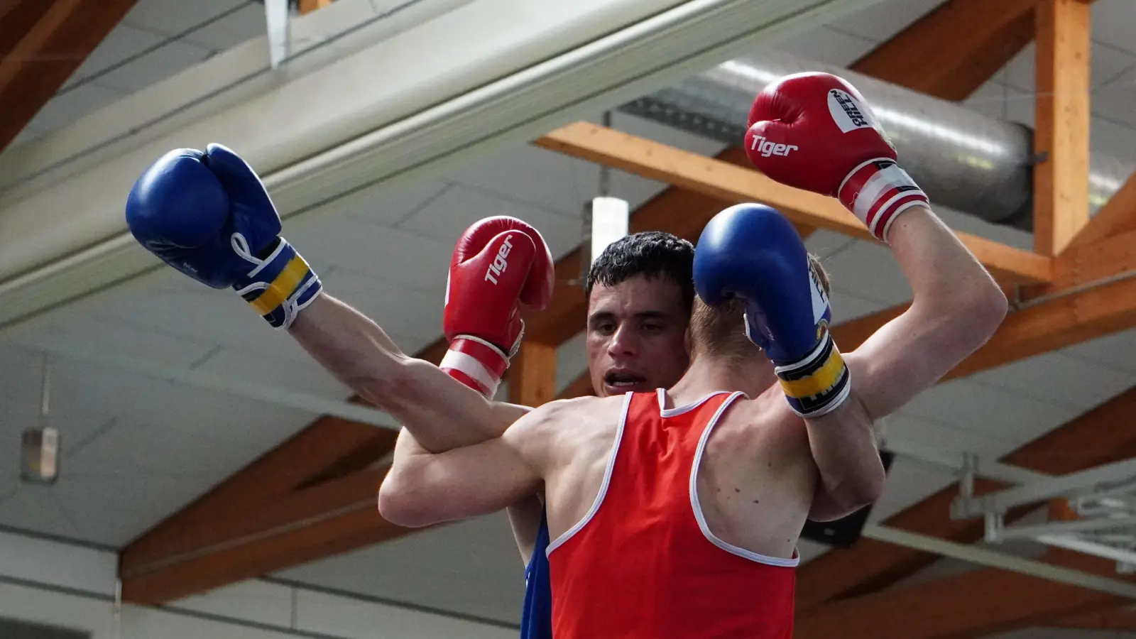 Am Sonntag werden in der Rangauhalle die Boxhandschuhe übergezogen. Dabei geht es auch um Europameisterschaftstitel. (Foto: Bastian Lauer)