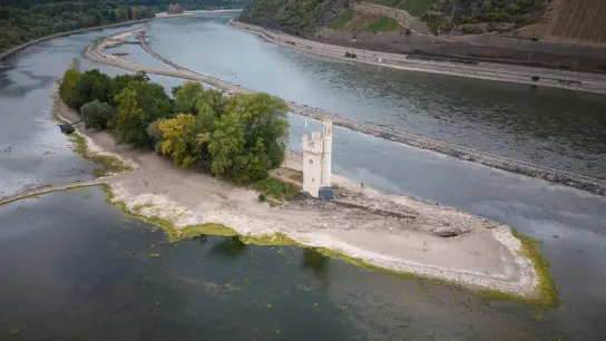 Die Pegelstände auf dem Rhein haben nach wochenlanger Trockenheit teils historische Tiefststände erreicht - davon ist auch die Flusskreuzfahrt betroffen. (Foto: Boris Roessler/dpa/dpa-tmn)