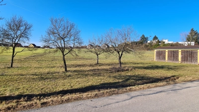 Am Neusitzer Schlossberg sollen Bauplätze ausgewiesen werden. Für die Erschließung wurden in den Haushalt Mittel eingestellt. (Foto: Margit Schwandt)