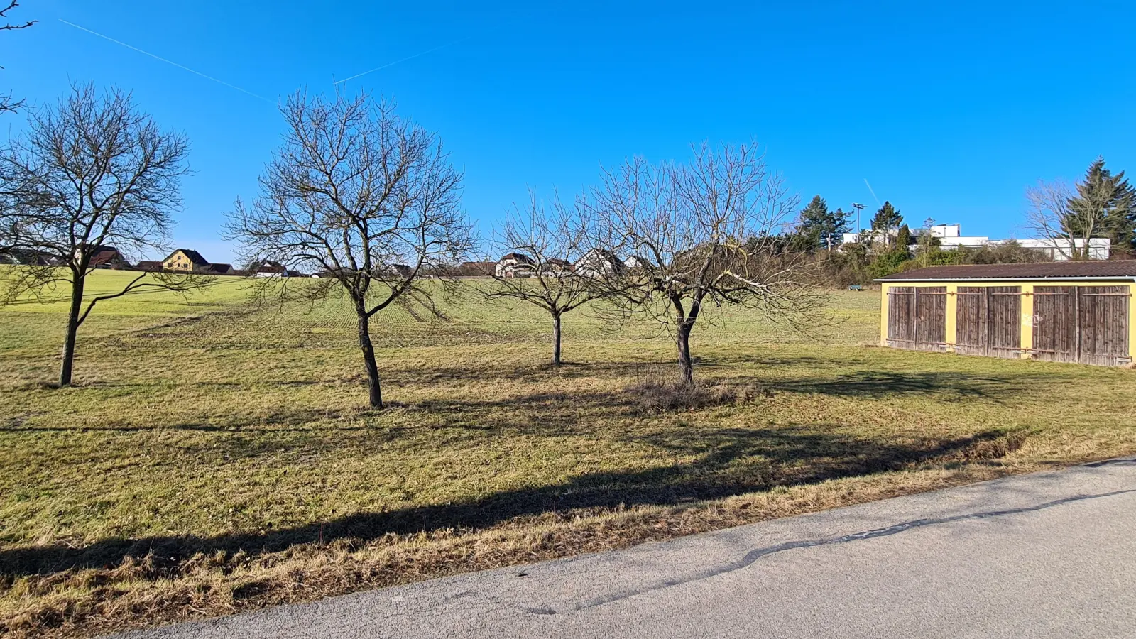 Am Neusitzer Schlossberg sollen Bauplätze ausgewiesen werden. Für die Erschließung wurden in den Haushalt Mittel eingestellt. (Foto: Margit Schwandt)