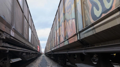 Die Güterverkehrssparte der Deutschen Bahn steckt seit Jahren in der Krise. (Archivbild) (Foto: Silas Stein/dpa)