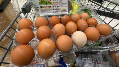 Der Shutdown in den USA macht sich auch bei den Lebensmitteln bemerkbar. (Foto: Robert F. Bukaty/AP/dpa)