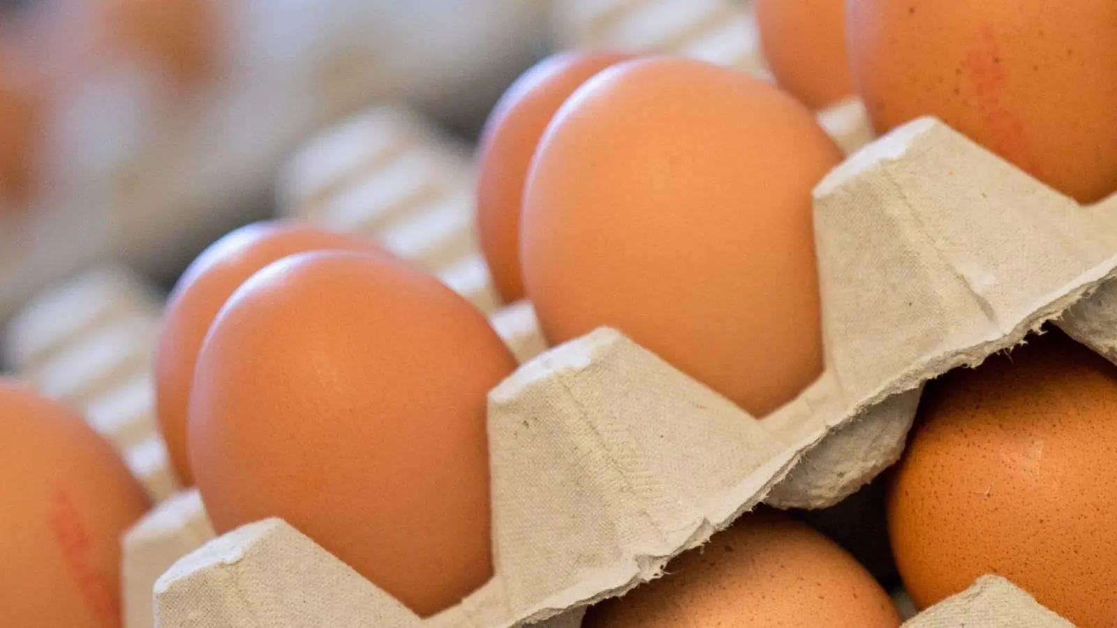 Eier stehen auf einem Biohof in Kartons. (Foto: Friso Gentsch/dpa)