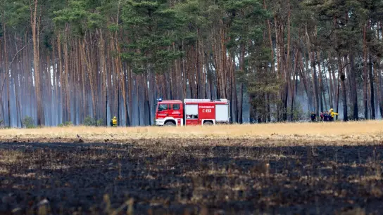 Mehrere Feuerwehren bekämpften den Waldbrand im Naturschutzgebiet Gohrischheide. (Foto: Daniel Schäfer/dpa)