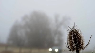 Trübes Wetter bestimmt den Samstag in weiten Teilen des Freistaats. (Archivbild)  (Foto: Stefan Puchner/dpa)