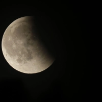 Am Freitag wird der Mond zum Teil vom Erdschatten verdunkelt. (Foto: Thomas Warnack/dpa)