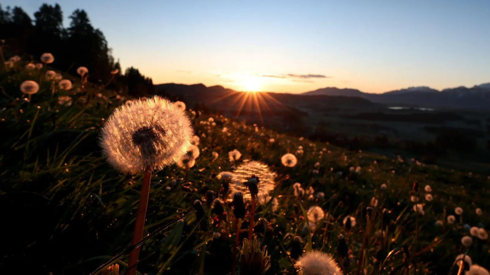 Wer nach Pfronten will, kann dort mit dem Bergbus hinfahren. (Archivbild)  (Foto: Karl-Josef Hildenbrand/dpa)