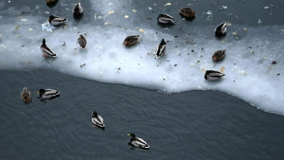 Nun steht vor allem dem Osten Deutschlands Glatteis-Gefahr bevor. (Foto: Elisa Schu/dpa)