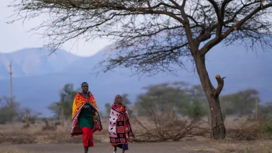 Zwei Massai-Frauen gehen zum Wahllokal der Oltepesi-Grundschule in Kajiado County, um ihre Stimme während der Präsidentschafts- und Parlamentswahlen in Kenia abgeben zu können. (Foto: Ben Curtis/AP/dpa)