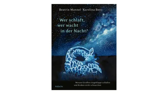 Beatrix Mannel: Wer schläft, wer wacht in der Nacht?, mit Illustrationen von Karolina Benz. (Foto: ---/Rowohlt Rotfuchs/dpa)