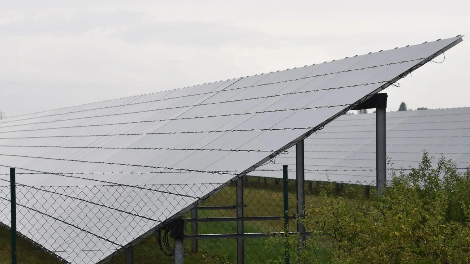 Eine Freiflächen-Solaranlage könnte auch nördlich von Unterntief entstehen. (Symbolbild: Andreas Reum)