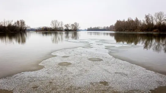 Eine dünne Eisschicht bedeckt bei trübem Wetter die Wasseroberfläche der Koldinger Seen in der Region Hannover. (Foto: Moritz Frankenberg/dpa)