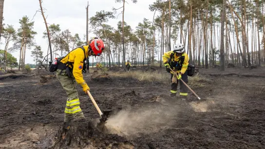 Zwei Feuerwehrfrauen in Brandenburg bearbeiten den Waldboden. Müssen wir uns künftig an solche Bilder gewöhnen oder gibt es Wege, wie wir unsere Wälder besser schützen können? (Foto: Daniel Schäfer/dpa)