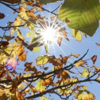 Die kommenden Tage bleibt es sonnig und warm in Bayern, einzig nachts wird es frisch. (Symbolbild) (Foto: Thomas Warnack/dpa)