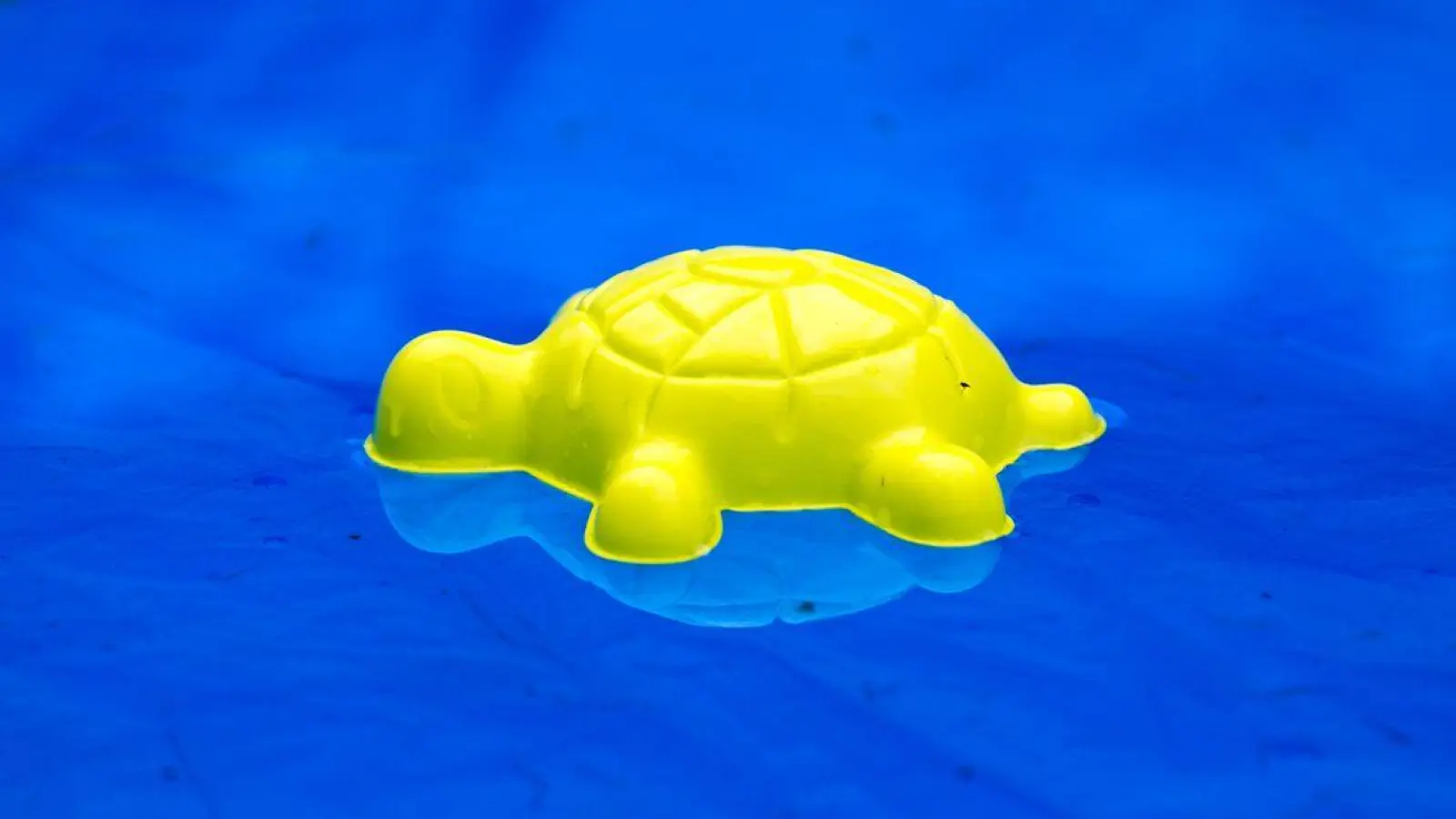 Die vermissten Kinder wurden tot in einem privaten Pool gefunden. (Symbolbild) (Foto: picture alliance / Arno Burgi/dpa-Zentralbild/ZB)