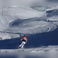 Der Vergleich sieht unter anderem die Sperrung eines Areals für Wintersportler vor - zum Schutz von Birkhühnern. (Archivbild) (Foto: Karl-Josef Hildenbrand/dpa)