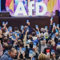Die bayerische AfD trifft sich zum Parteitag - diesmal in Passau. (Archivbild) (Foto: Daniel Löb/dpa)