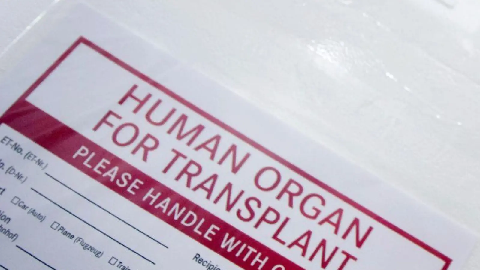 Ein Styropor-Behälter zum Transport von zur Transplantation vorgesehenen Organen. (Foto: Soeren Stache/dpa)