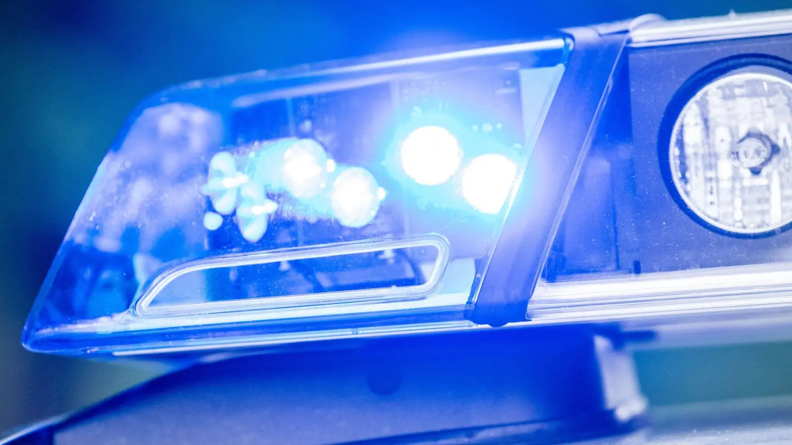 Bei einem Hundebiss in München wird ein Kind verletzt - die Polizei ermittelt. (Symbolbild) (Foto: Lino Mirgeler/dpa)