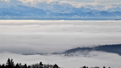 Einen so dichten Nebel sieht man über dem Bodensee immer seltener. (Foto: picture alliance / Felix Kästle/dpa)