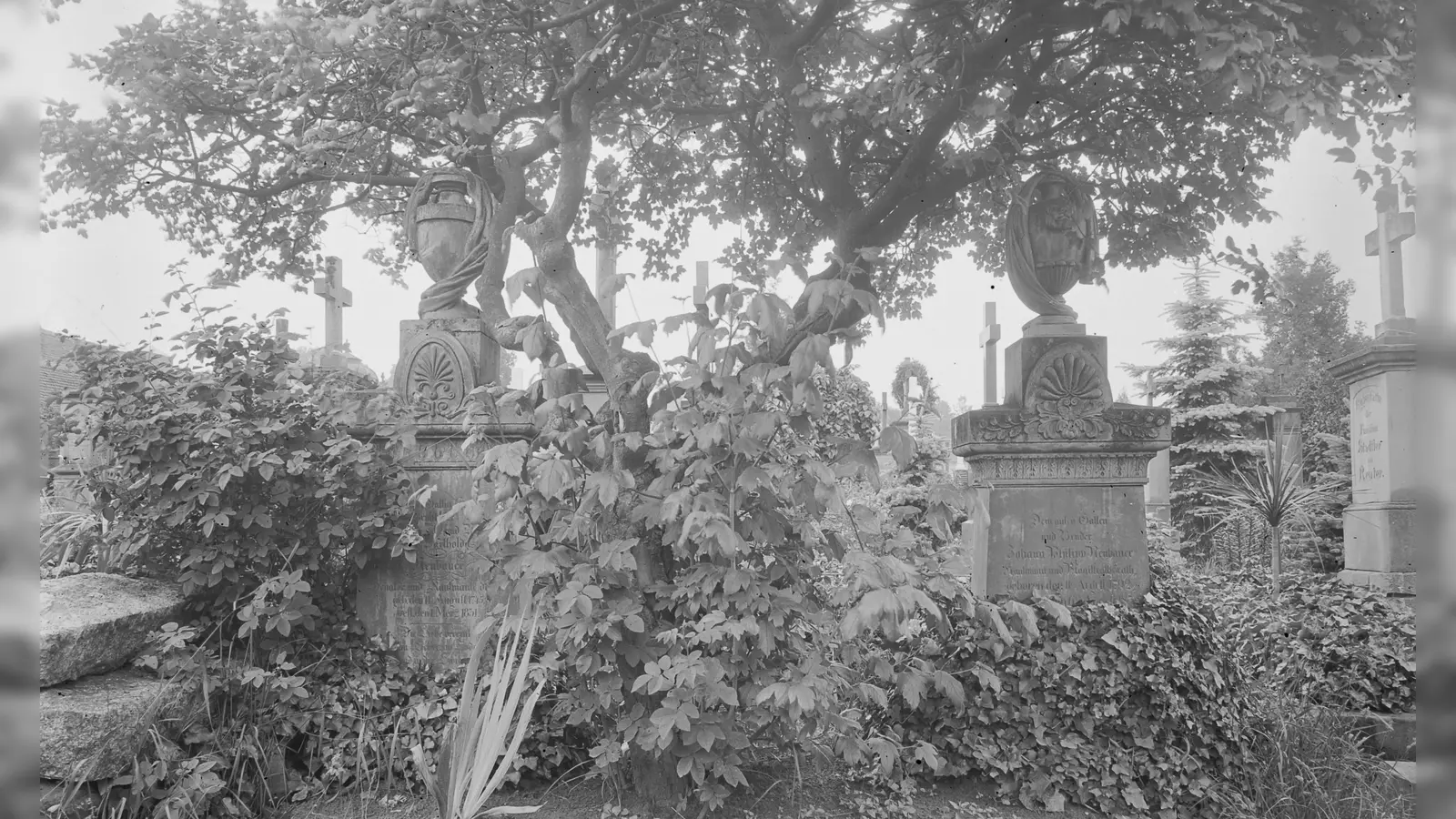 Dicht bewachsen war der Stadtfriedhof in den 1920er Jahren, als diese Fotografie entstand. Die Zeitung berichtet von Kindern, die einst auf dem Gräberfeld tröstende „Auferstehungslieder“ sangen. (Repro: Alexander Biernoth)